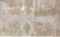 Walls Plaster